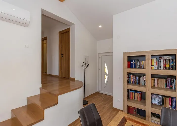 D&d ビオグラード・ナ・モル